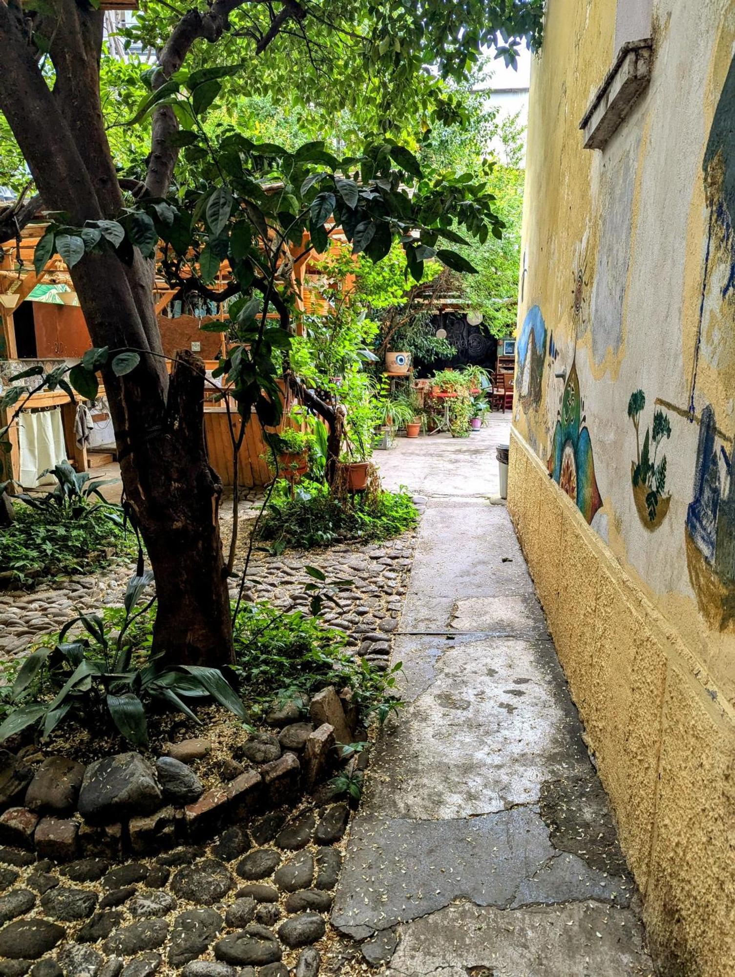 Hostel Backpacker Tirana